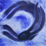 Black Hare